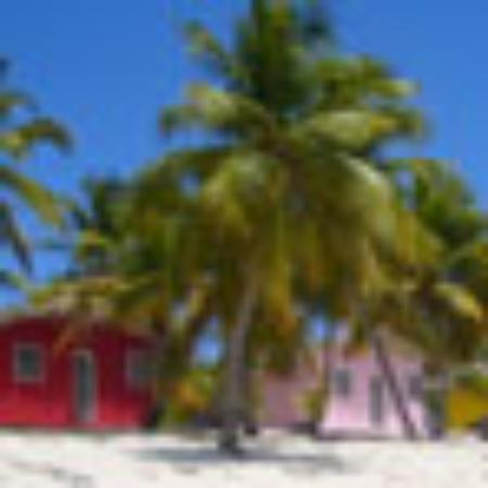 Surf Bar